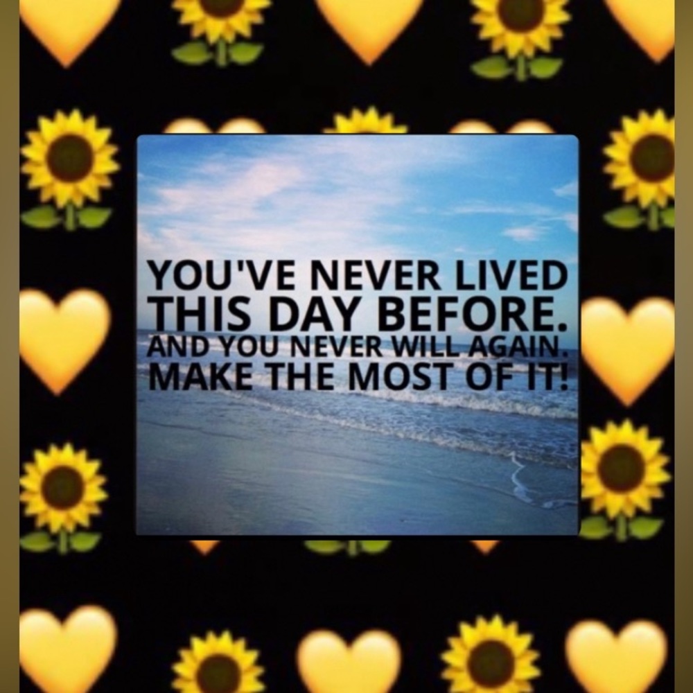 Meet your Posher, Brightmoon